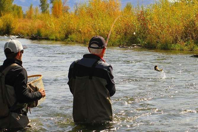 Guided Fly Fishing Experience in Park City - Immersive Learning Experience Outside Salt Lake City
