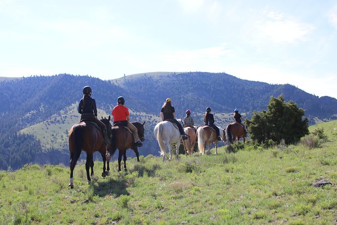 Guided Horseback Trek Through Blue Flower Trail - Participant Requirements