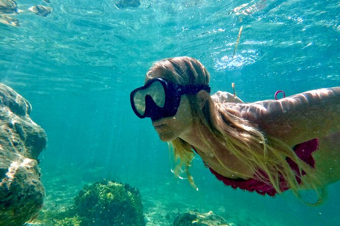 Guided Snorkel Experience, Free Videos in West Palm Beach - Marine Life Exploration