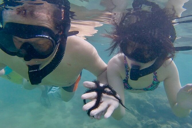Guided Snorkel Tour for Beginners in Honolulu - Small-Group Setting and Personalized Experience