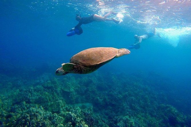 Guided Turtle Town Snorkel Tour With Sea Scooter - Makena - Inclusions and Equipment