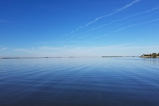 Guided Two Hour Boat Tour of the Indian River Lagoon - Wildlife and Ecosystem