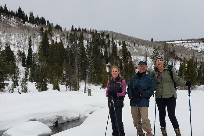 Guided Uinta Forest 3-Mile Hike W/Fire + Lunch/Charcuterie Stop - Meeting Point and Pickup Details