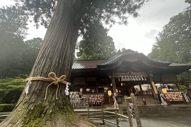 Hakone Mt. Fuji Tour by Car With Pickup and Drop off From Tokyo - Pickup and Drop-off Information