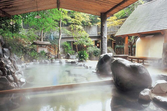 Hakone'S Best Hot Springs & Scenic Lake Ashi Cruise From Tokyo - Highlights of the Private Tour/Activity