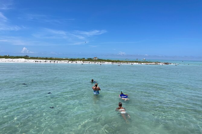 Half Day Eco and Dolphin Boat Tour in Siesta Key - Accessibility and Participation Details