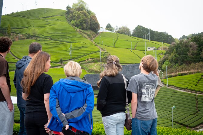 Half Day Nara and Matcha Farm Private Van Tour - Inclusions