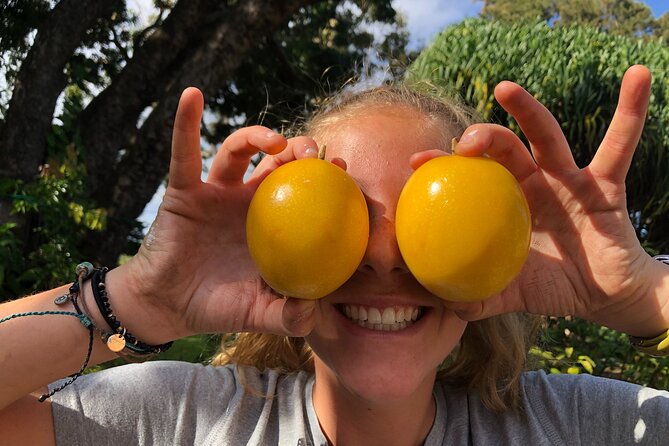 Hamakua Coast Farm Small-Group Walking and Tasting Tour - Tour Highlights and Experience
