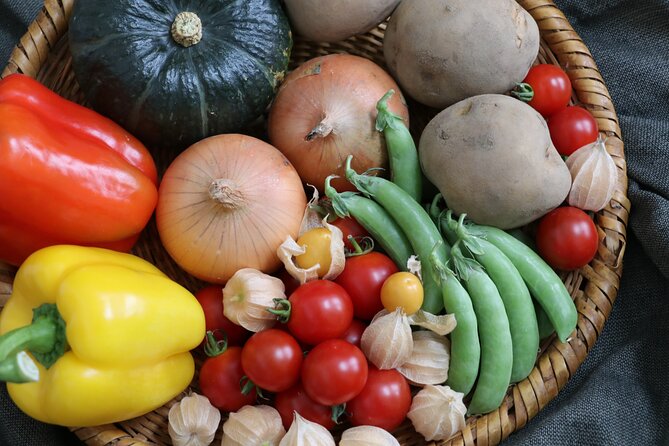 Harvest Experience in Akaigawa With Lunch Freshly Picked Veggies - Logistics and Schedule