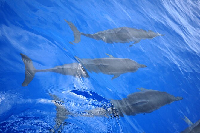 Hawaiian Sail and Snorkel in Kailua-Kona, Hawaii - Meeting and Pickup Details