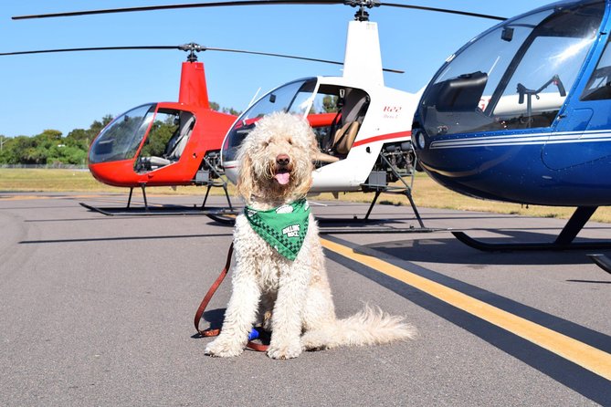 Helicopter Tour of Clearwater Beach and Belleair Country Club - Participation Requirements