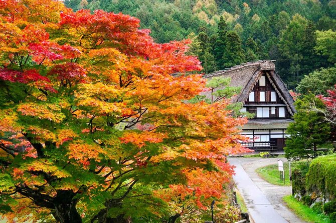 Hida Folk Village Museum Passes in Takayama Japan - Pickup Information