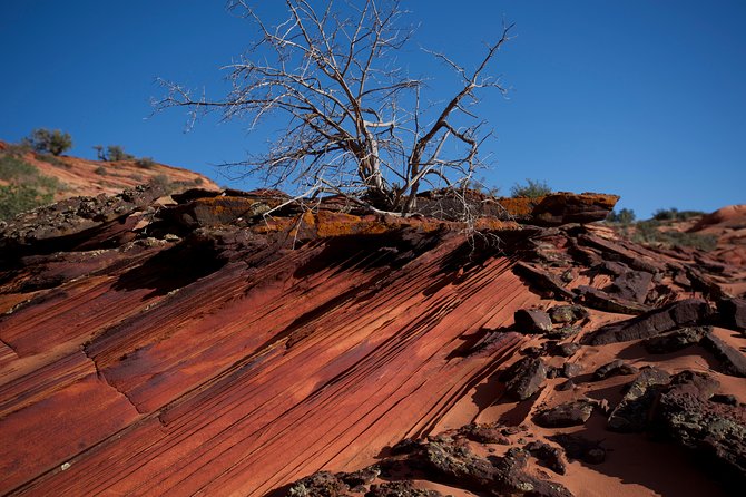 Hiking in Kanab: Walk and Photograph the Incredible Wire Pass Slot Canyon! - What to Expect on the Trail