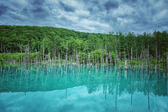 Hokkaido Furano and Biei Private Day Tour（Depart From Sapporo） - Inclusions