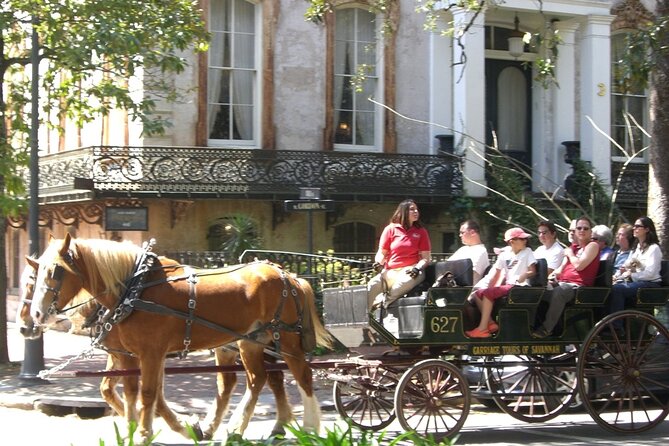 Horse Drawn Daytime Group Narrated Historic Overview Tour - Challenges and Areas for Improvement