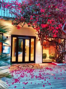 Hotel Le Mistral - Guest Experience and Ratings