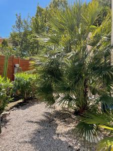 Hotel L'Orangeraie - Guest Experience and Reviews