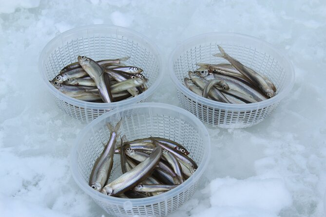 Ice Fishing Experience Eat Fresh Fish Tempura at Lake Abashiri - Exclusive Offerings