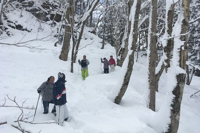 Icicle Trekking Nishiwaga Town, Iwate Prefecture - Included Amenities and Rentals