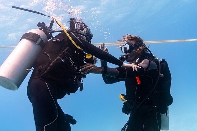 Incredibly Fun 2-Tank Boat Dive From Waikiki -Beginners Welcome - Inclusions and Requirements