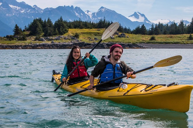 Inside Passage Sea Kayaking From Skagway - Wildlife Watching Opportunities