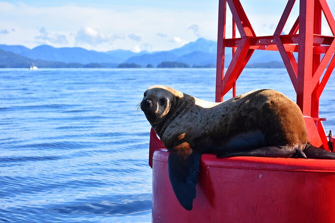 Island Discovery Kayak Paddle in Sitka, Alaska - Meeting and Pickup Information