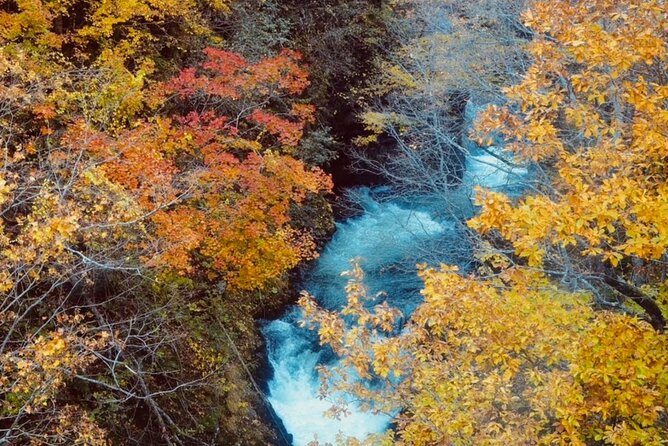 Jozankei Autumn Leaves Day Tour by Private Car - Inclusions