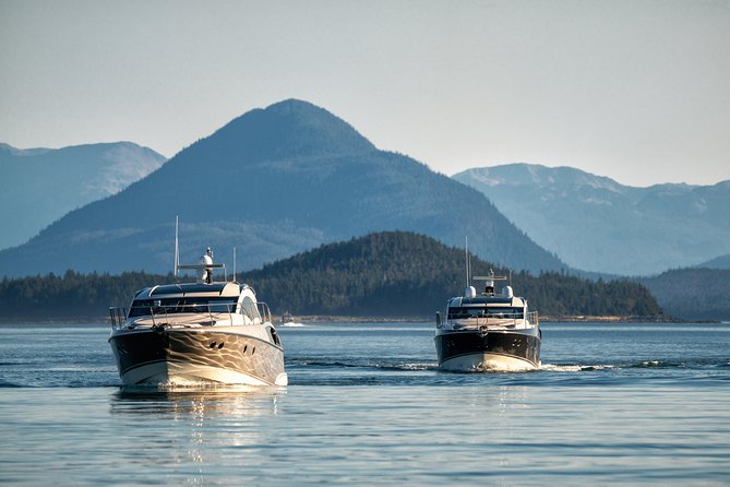Juneau by Land & Sea - Wildlife Encounters: Humpbacks and Orcas