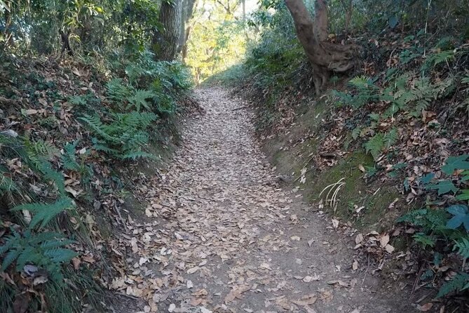 Kamakura Private Cultural and Historical Hiking Tour - Pickup and Meeting Information
