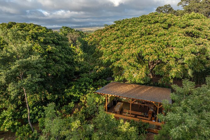 Kamananui Cacao Orchard Tour - Pricing and Cancellation Policy