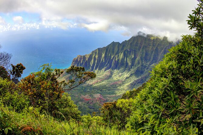 Kauai Island Private Guided Tour-Waimea Canyon From Lihue/Kapaa - Tour Inclusions and Amenities