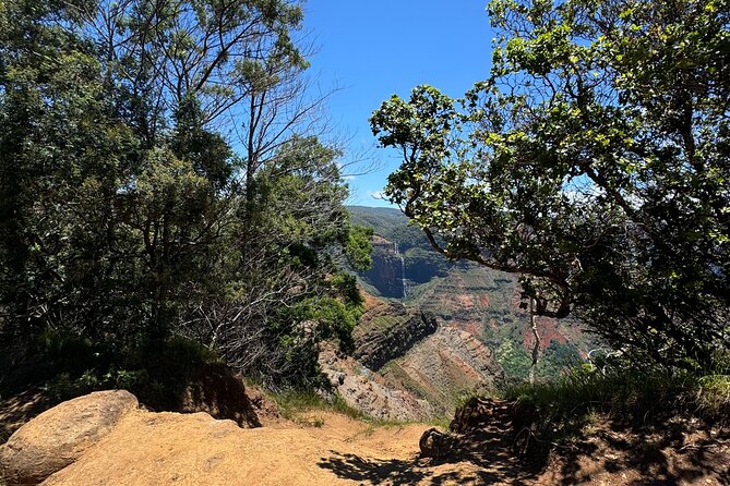 Kauai Island Tour : Journey to Waimea Canyon & More Highlights - Inclusions and Amenities