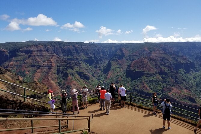 Kauai Shore Excursion - Waimea Canyon Adventure Tour - Nawiliwili - Guide Experience and Expertise
