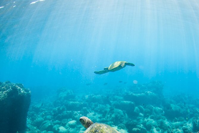 Kauais Ultimate Guided Shore Snorkel (NO BOAT): North Anini - Meeting Point and Pickup Details