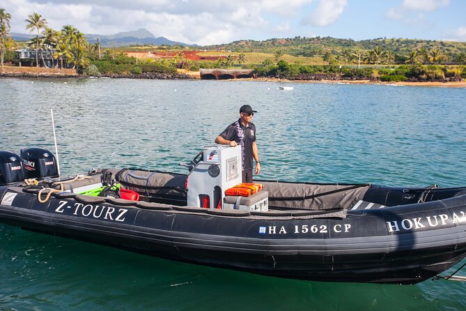 Kauais Ultimate South Side Whale & Dolphin Zodiac Boat Adventure - Opportunities to Spot Marine Wildlife