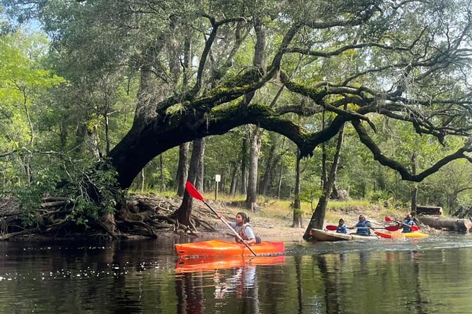 Kayak Rental on the Waccamaw River - Kayak and Paddleboard Pass Details