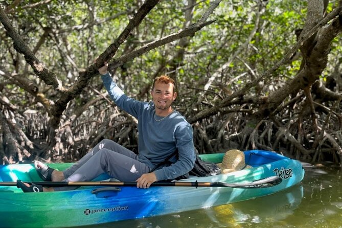 Kayak Through Mangrove Forests in the Florida Keys - What to Expect on Your Kayaking Tour