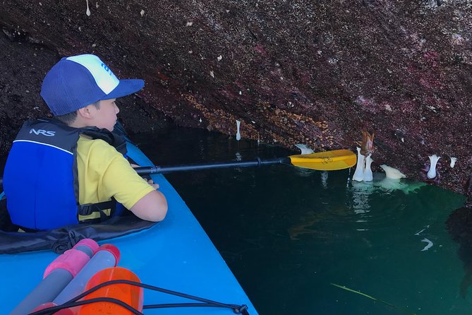 Kayaking in Deception Pass State Park - Tour Details and Inclusions