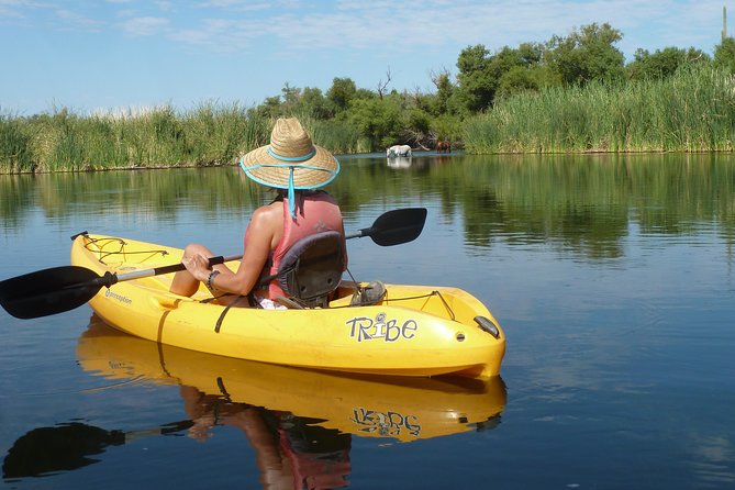 Kayaking the Salt River Foxtail Trip - Preparing for the Unguided River Adventure