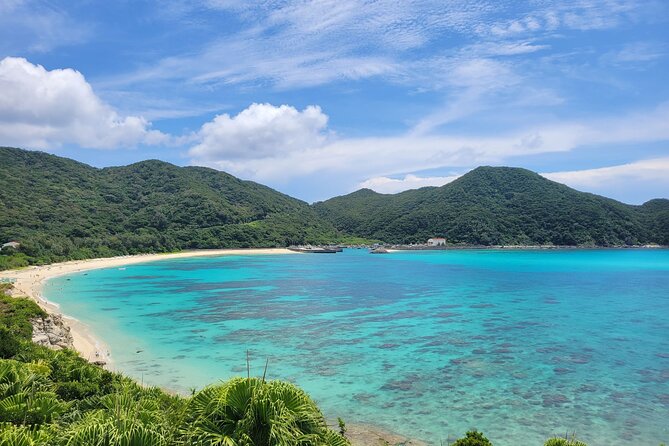 Kerama Tokashiki Island and Whale Watching Tour - Itinerary