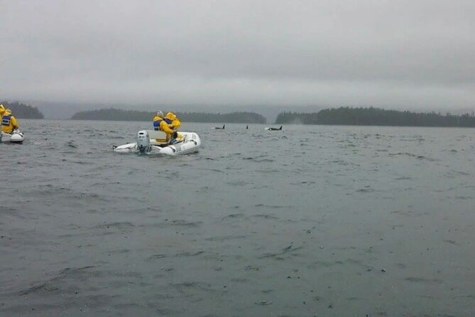 Ketchikan Zodiac Adventure - Pricing and Cancellation Details