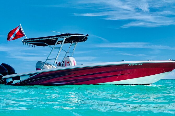 Key Largo Snorkeling Trips & Sandbar Tours - Enjoy the Personalized Attention of a Private Tour