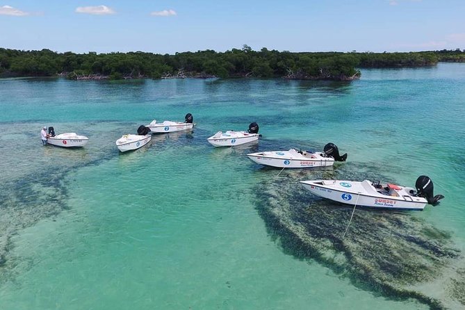 Key West Safari Eco Sandbar Tour Adventure With Snorkeling - Exploring the Florida Backcountry