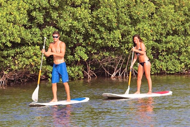 Key West Ultimate Beach Pass With Parasailing - Parasailing Adventure