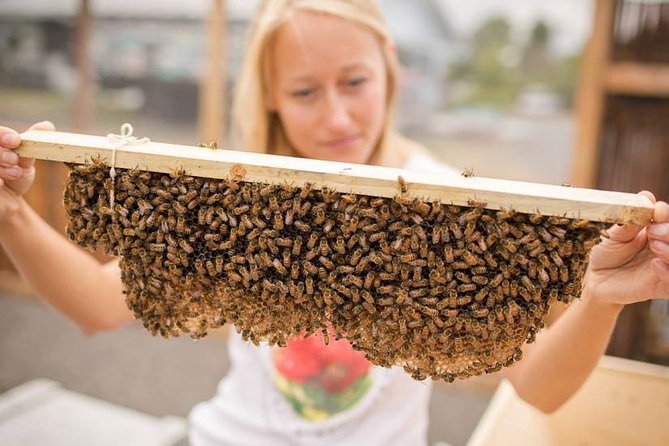 Kona Tour: Bee Farm, Kona Coffee, and National Historical Parks - Itinerary and Attractions