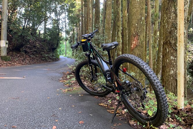 Kyoto E-Bike Rent (Powerful & Long Model) - Tour Details