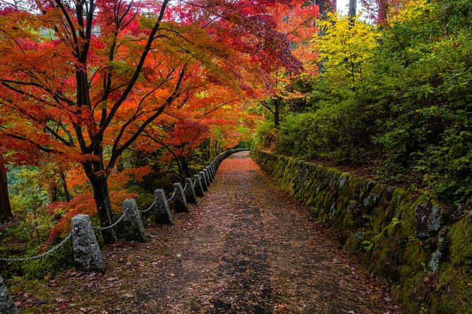Kyoto Full Day Trip From Osaka - Itinerary and Sightseeing