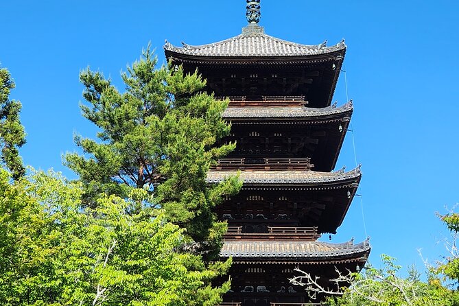 Kyoto Highlights of 6 Hour Private Car Tour - Inclusions