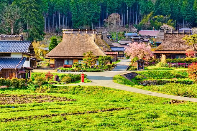 Kyoto Ine Bay, Amanohashidate and Miyama Village Tour From Osaka - Transportation and Meeting Information