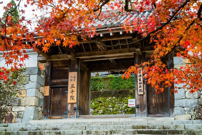 Kyoto Sansen-In Arashiyama Train 1 Day Tour From Osaka or Kyoto - Health and Accessibility Requirements